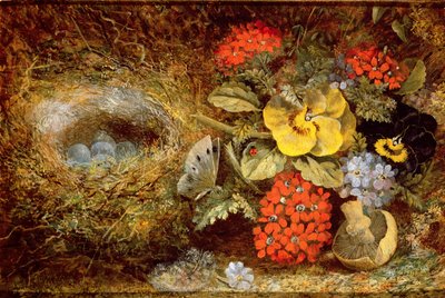 Flowers and Bird